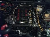 Engine bay.jpg